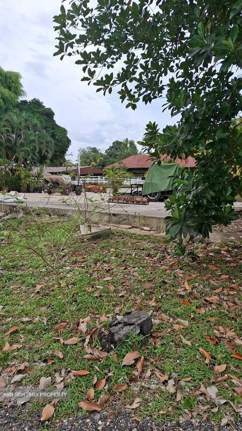 Lorong K Telok Kurau (D15), Terrace #501377551